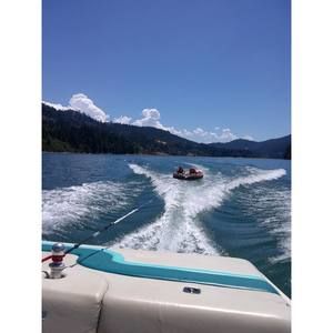 Meet your Posher, Cheyenne